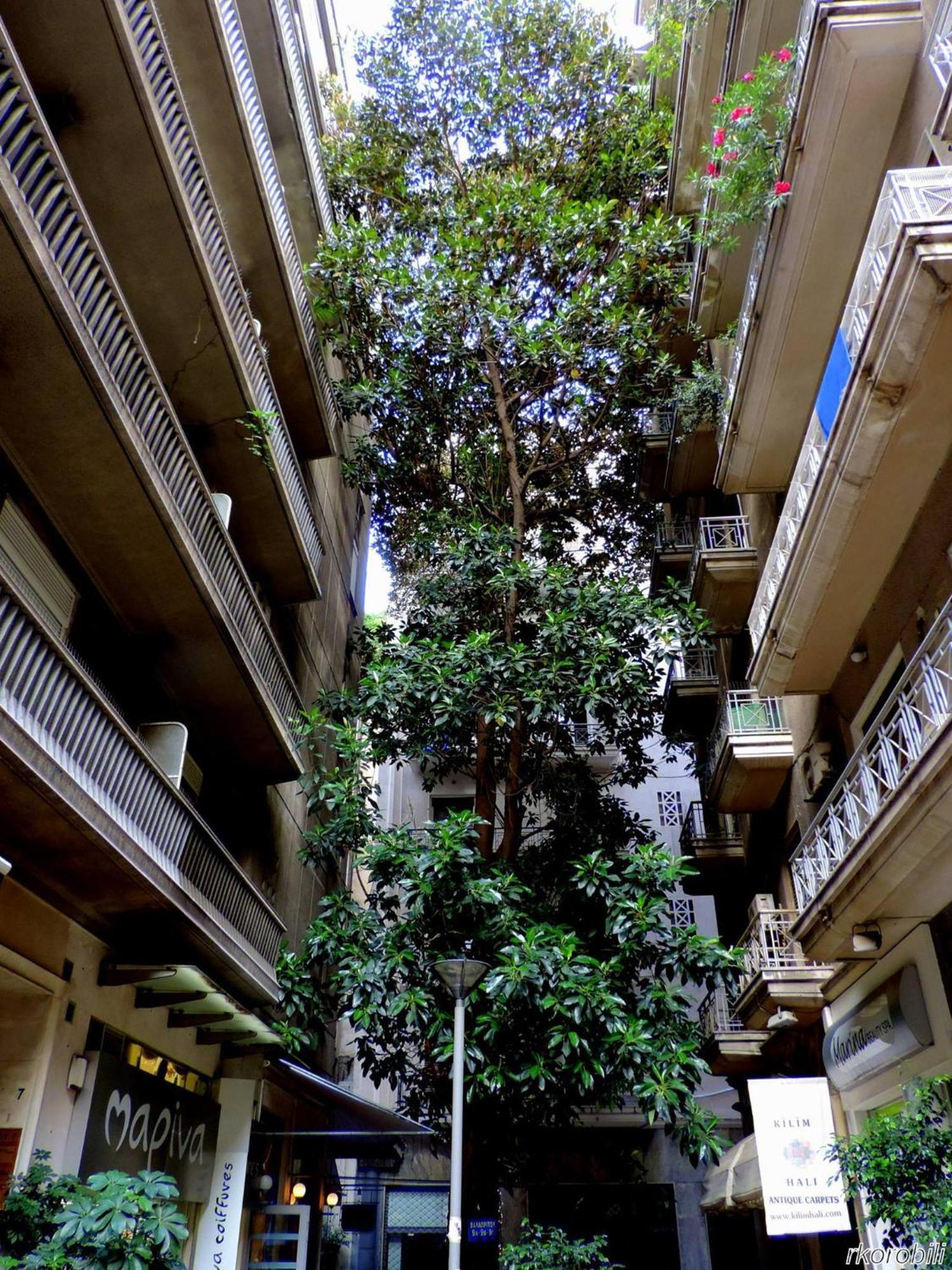 Stay At Premium Syntagma Location - Experience 1 Atene Esterno foto